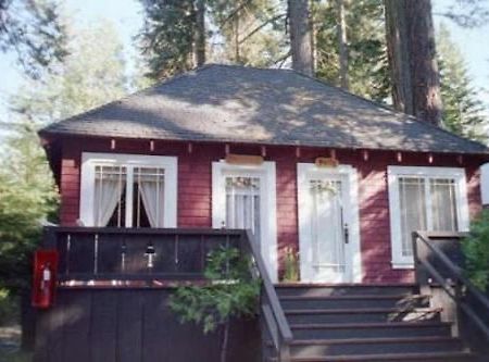 Tahoma Meadows - Sugar Pine Cabin Eksteriør billede