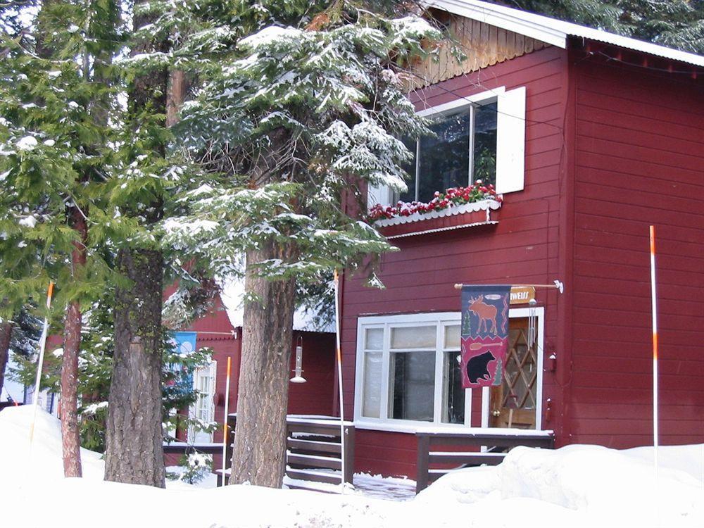 Tahoma Meadows - Sugar Pine Cabin Eksteriør billede