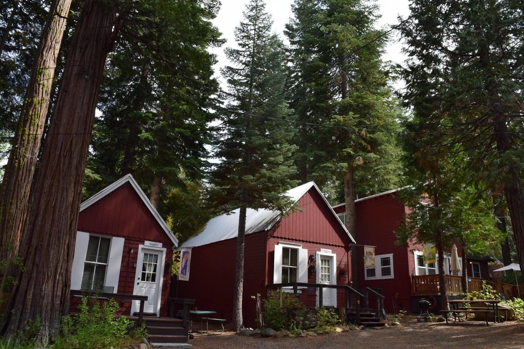 Tahoma Meadows - Sugar Pine Cabin Eksteriør billede